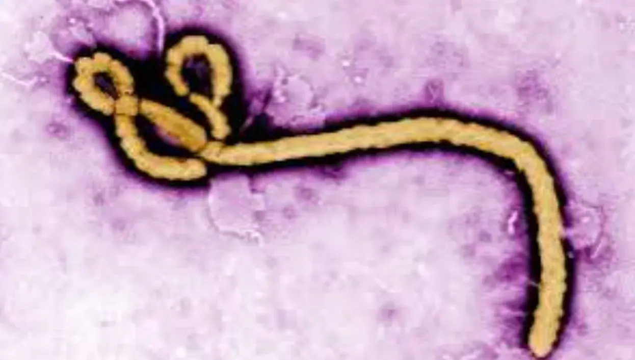 PSO skelbia pavojų – Kongo Ebolos epidemija jau antra didžiausia istorijoje