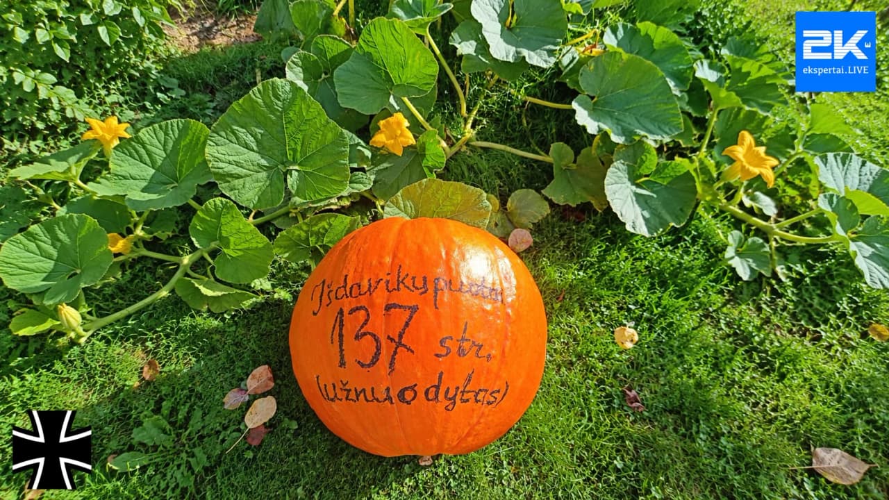 Net tautinės valstybės sargas, radikalas Sinica stojo į 137 Konstitucijos str. naikintojų gretas