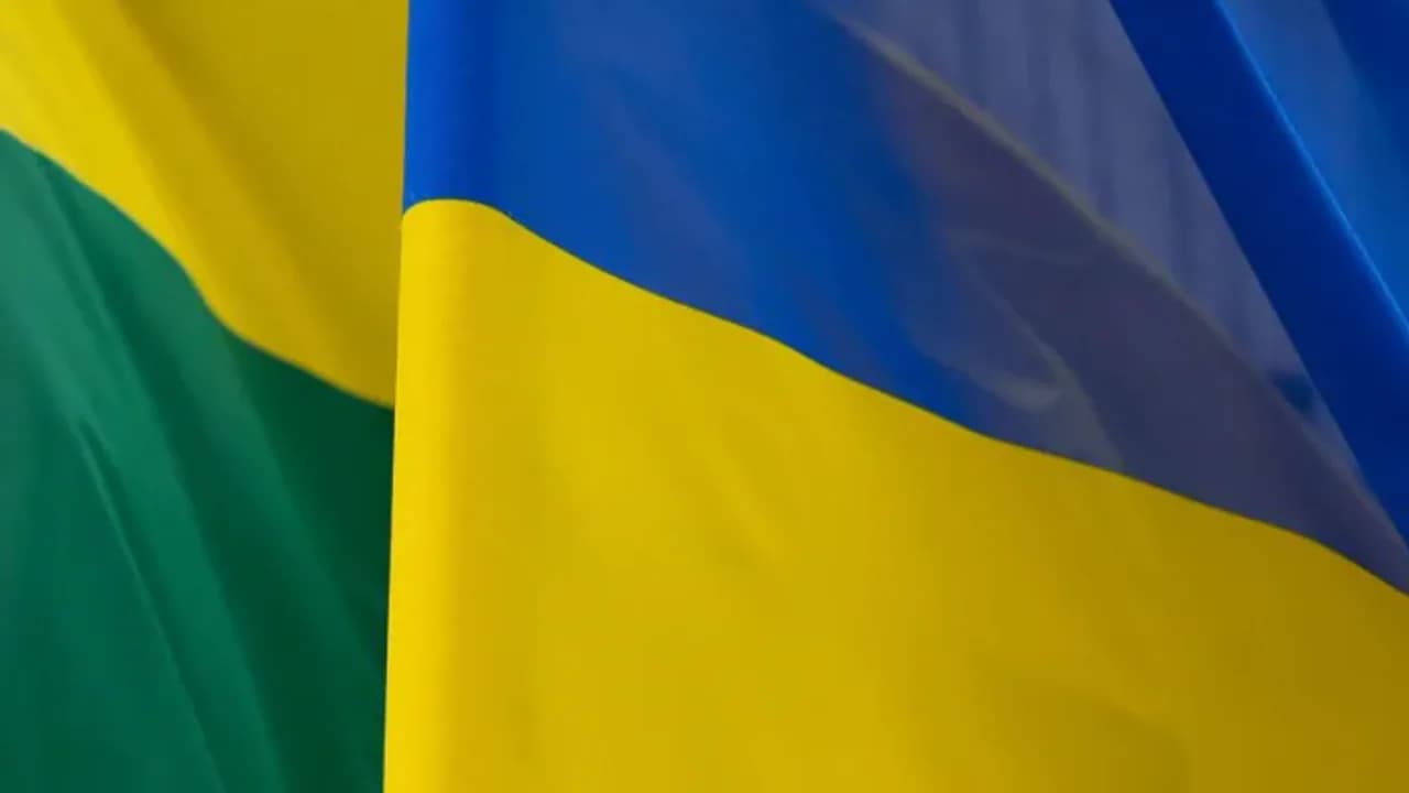 Lietuva Ukrainos gynybai šiemet skiria 223 mln. eurų