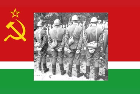 Bananų baliaus metinės. Palyginkime