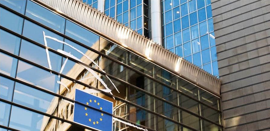 Representatives for Lithuania in the European Parliament are apparently free and independent from any responsibility