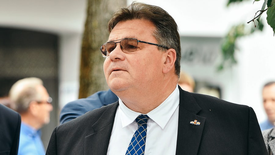 Galimas Vilties prezidentas - Linas Linkevičius. Nuotr. urm.lt