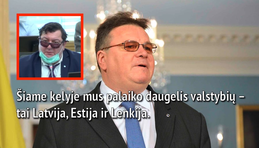 Lietuvos diplomatijos vadovas Linas Linkevičius. Raudoname kvadrate Emanuelis Zingeris demonstruojantis drąsą prieš koronavirusą. Nuotr. lrs.lt