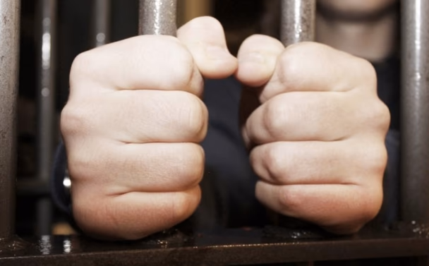 Lithuanian law enforcement authorities not ready to record all searches and seizures