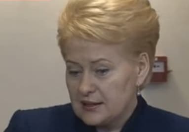 Dėl prezidentės melo pilietis ketina kreiptis į Generalinę prokuratūrą, STT, FNTT ar net tarptautines organizacijas