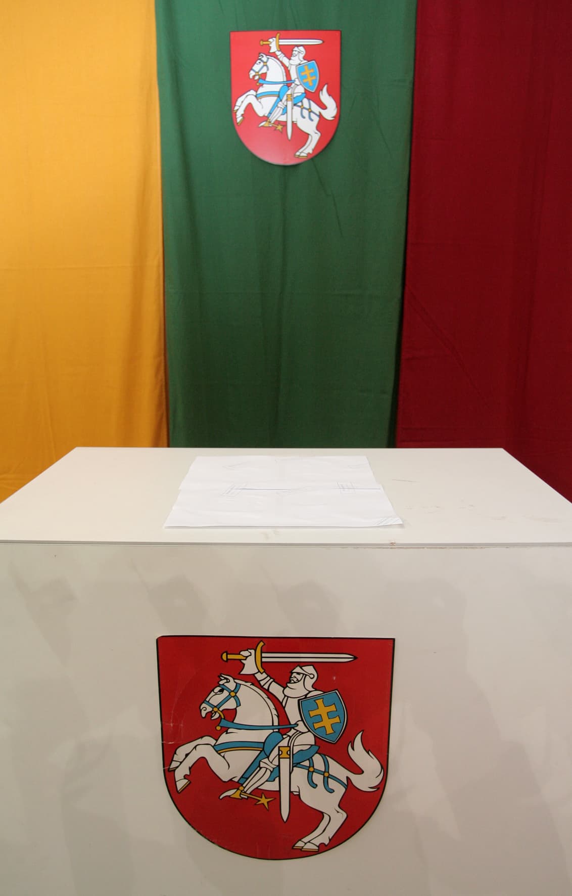 Gedimino Savickio (ELTA) nuotr.