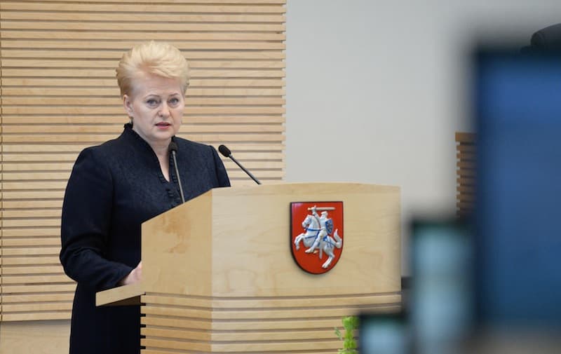 Prezidentė: matant šiandienos įvykius Ukrainoje, Lietuvos narystė ES įgauna naują prasmę. Roberto Dačkaus (ELTA) nuotr.