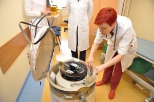 Pirmą kartą Lietuvoje atlikta kaulų čiulpų transplantacija panaudojant virkštelės kraują