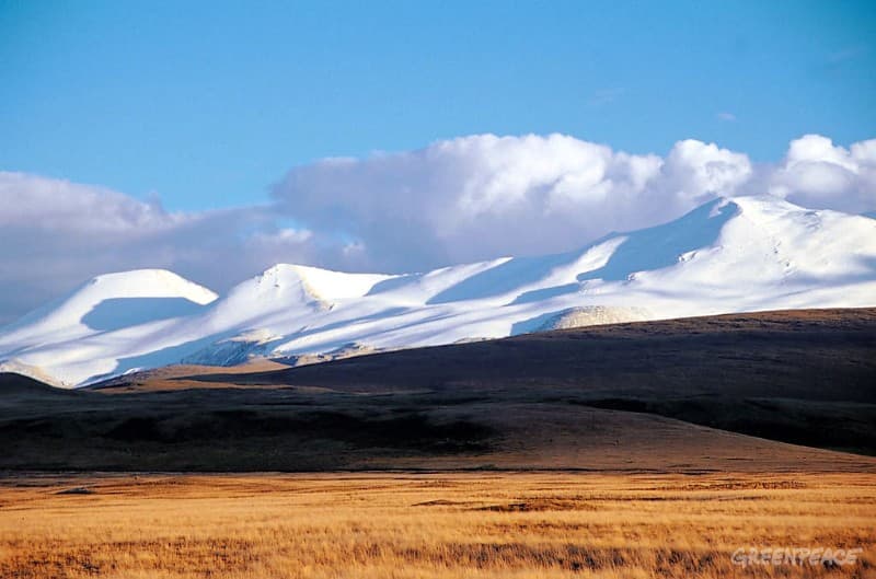 Gali būti, kad mūsų šaknys – Ukoko plokštikalnėje, esančioje tarp Rusijos, Kazachstano ir Mongolijos maždaug 3 km aukštyje. Ten gyvenusių pazyrykų tautos kurganai labai primena lietuviškuosius...