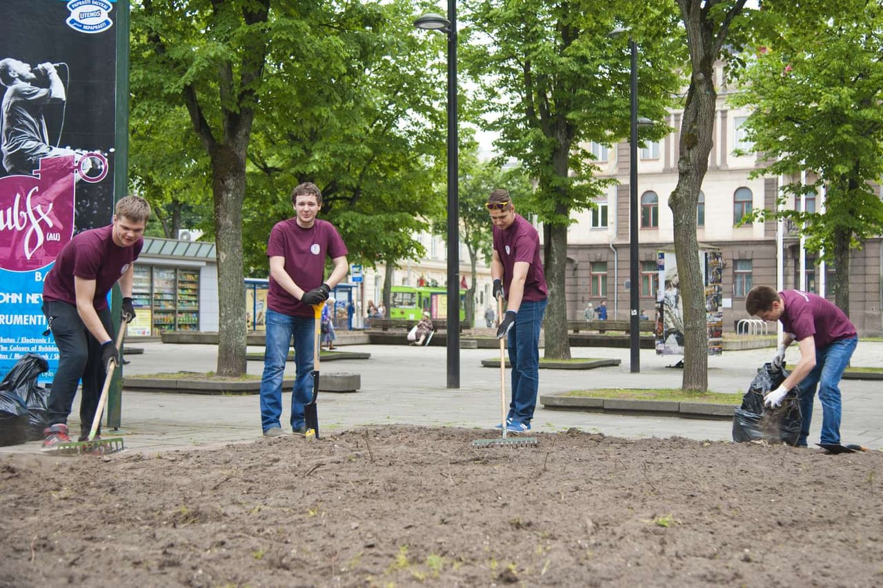 Studentų skvere Kaune – net 10 tūkst. gėlių