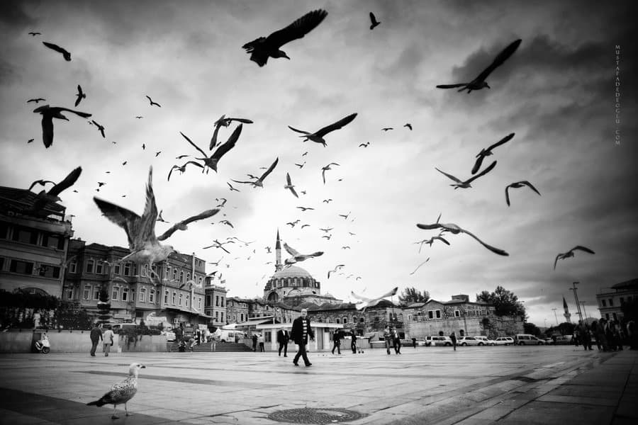 Viena Mustafa Dedeoğlu fotografijų, kurioje matome nepakartojamą Stambulą