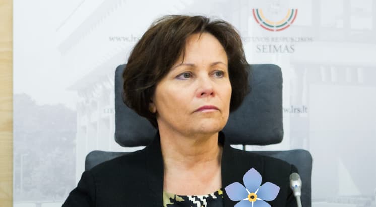 Netikėtą ir neatsakingą NATO sprendimą pakomentavo konservatorė R. Juknevičienė