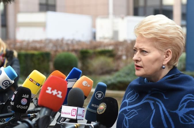 D. Grybauskaitė: nekontroliuojamas, stichinis procesas turi baigtis
