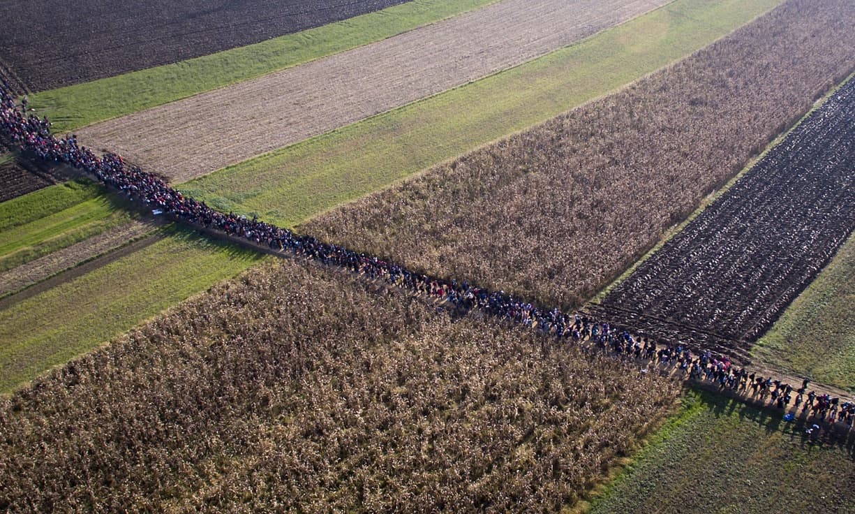 Pabėgėliai kerta Kroatijos ir Slovėnijos sieną.