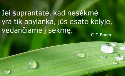 UAB „Admivita“ internetinio portalo paveiksliukas