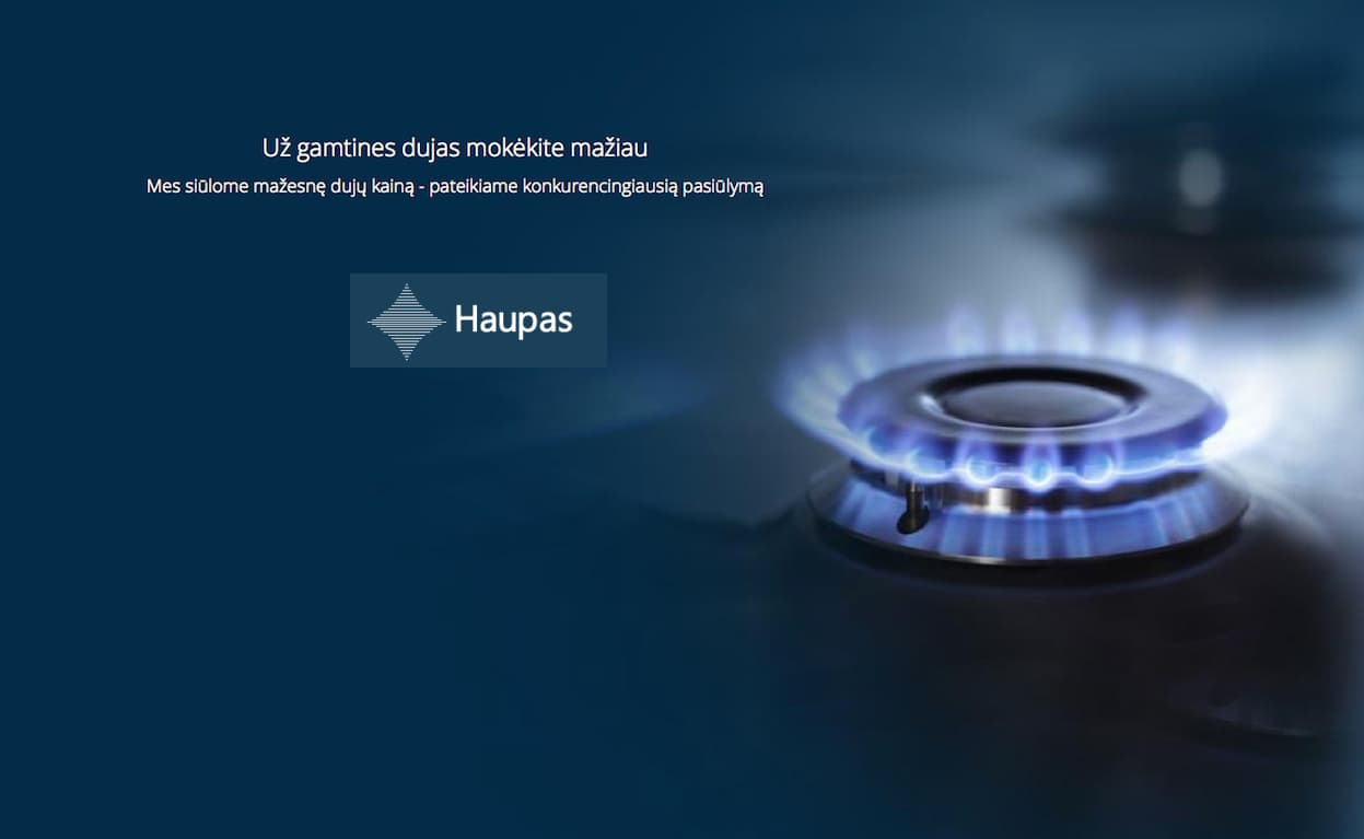 Druskininkams „Haupas“ kaip rakštis išangėje