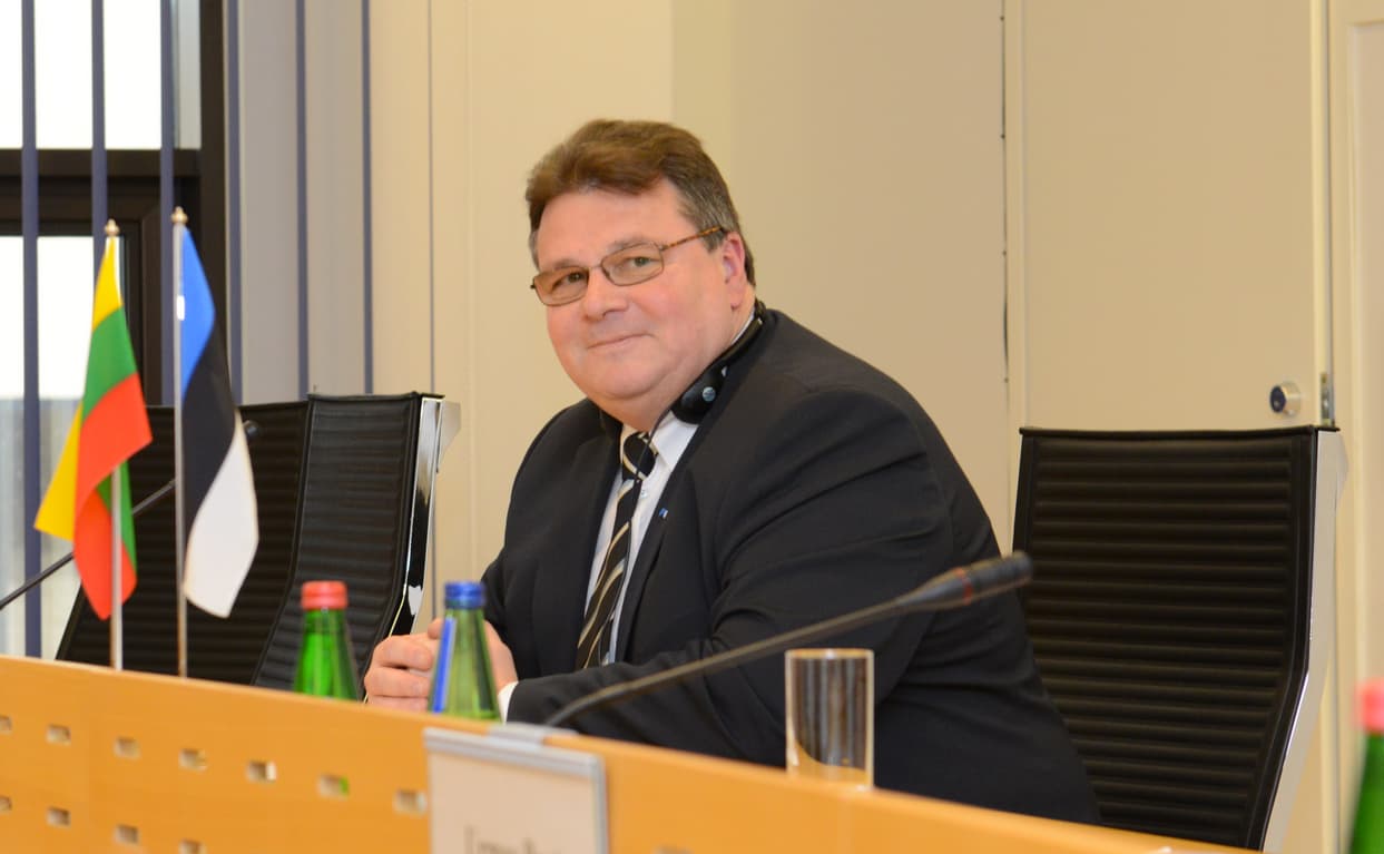 URM vadovas Linas Linkevičius sunerimęs dėl ilgalaikio Ukrainės lakūnės badavimo. Nuotr. wikimedia.org