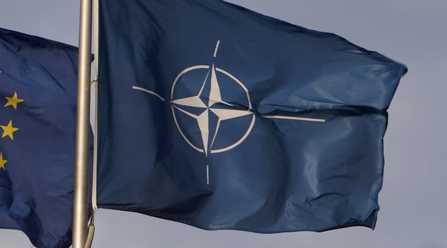 Apklausa: lyginant su pernai, švedai mažiau nori į NATO