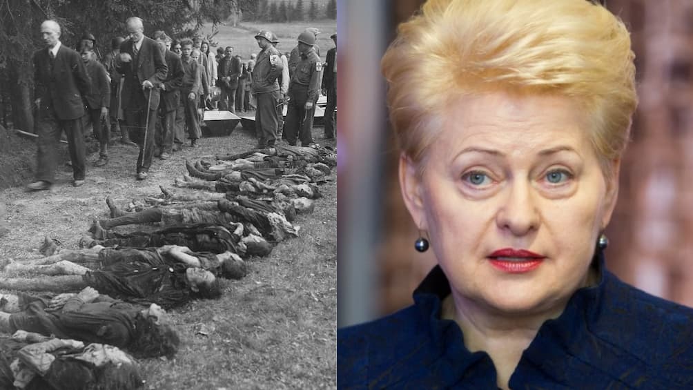 Rusijos Federacijos valstybinė paslaptis, apibendrintos biografijos NKVD gaisrininko (vėliau tremtinio) duktė, kolaborantė, Lietuvos Nepriklausomybės priešininkė, komunisto Mykolo Burokevičiaus bendražygė prezidentė D. Grybauskaitė paragino Vokietiją pradėti daugiau pasitikėti savo jėgomis ir liautis gręžiotis į praeitį, baiminantis istorinių nuoskaudų.