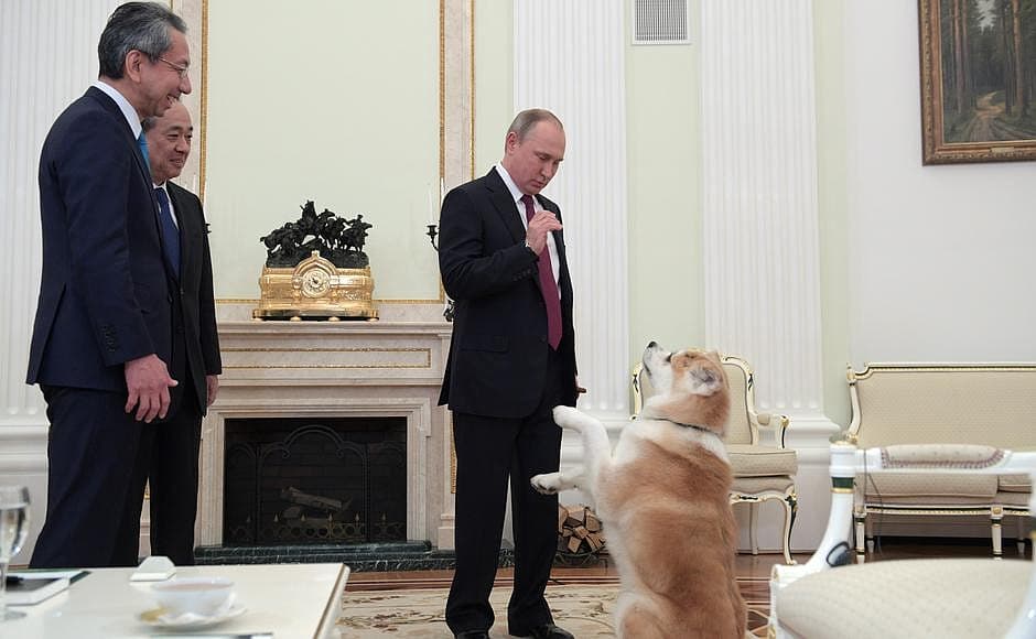 Akita-inu veislės šunį Jume V. Putinui japonai padovanojo 2012 m. liepą.