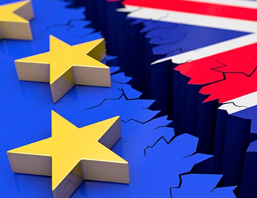 Seimo Konstitucijos salėje bus svarstomas BREXIT ir Lietuvos piliečių Jungtinėje Karalystėje interesai