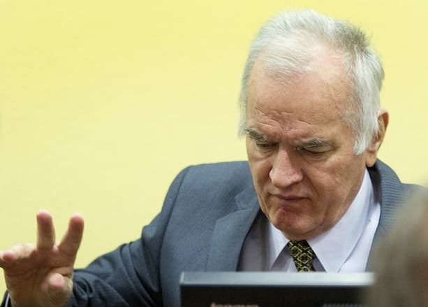 Komentarai po Hagos tribunolo nuosprendžio dėl Ratko Mladičiaus