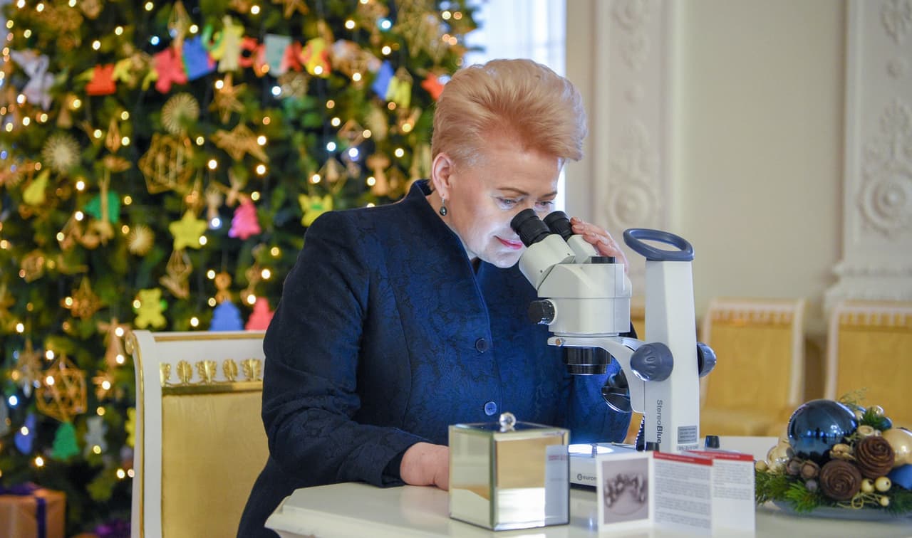 Prezidentė Dalia Grybauskaitė: teismų sistemoje – akivaizdus lūžis