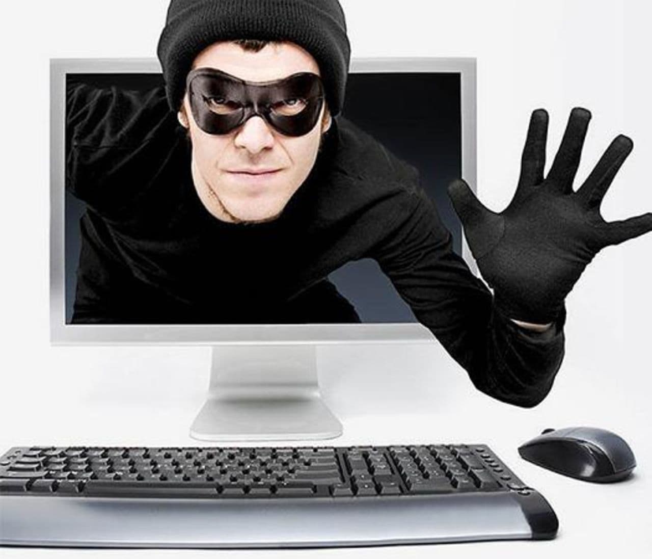 Kiberžulikas. Interneto nuotr.
