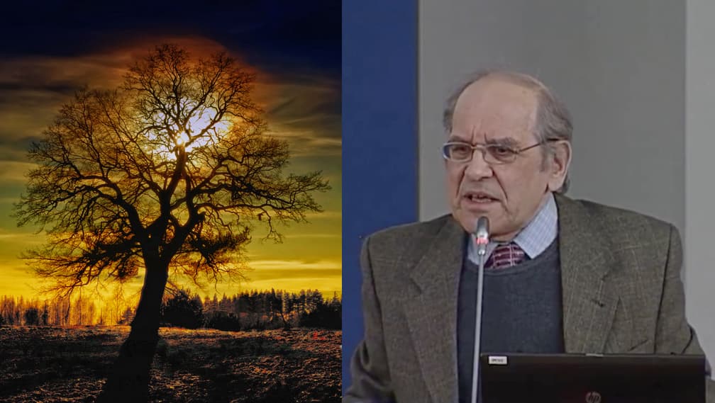 Filosofas Krescencijus Stoškus: mes ėmėme nekęsti medžio