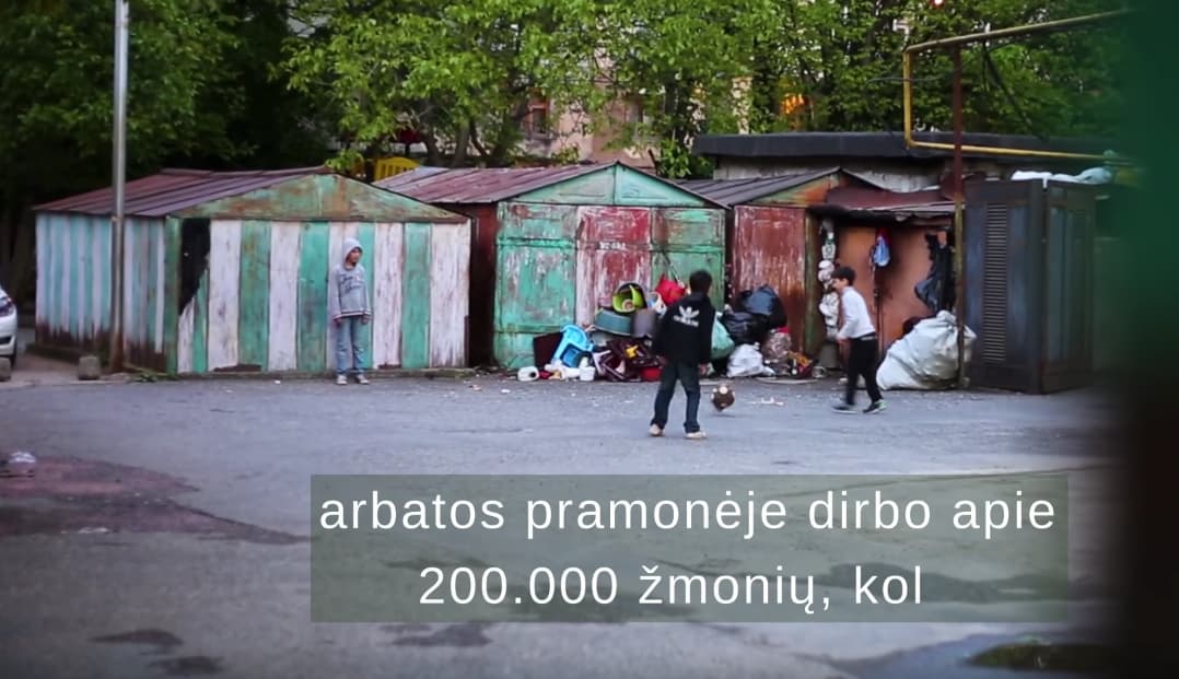 Gruzija prieš 30 metų buvo viena lyderiaujančių arbatos gamintojų pasaulyje, visa tai žlugo akimirksniu