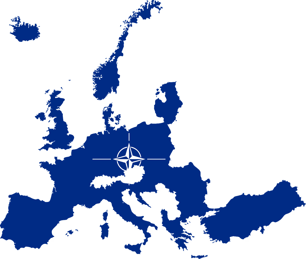 Europarlamentarai ragina stiprinti kibernetinę gynybą ir ryšius su NATO