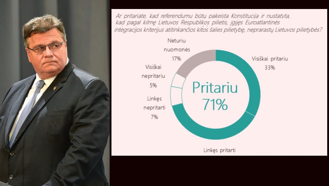 Didžioji dalis Lietuvos gyventojų pritaria dvigubai pilietybei