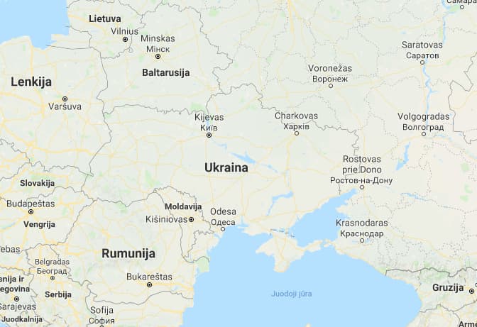 Lietuva ir Airija sutarė tęsti paramą Ukrainai