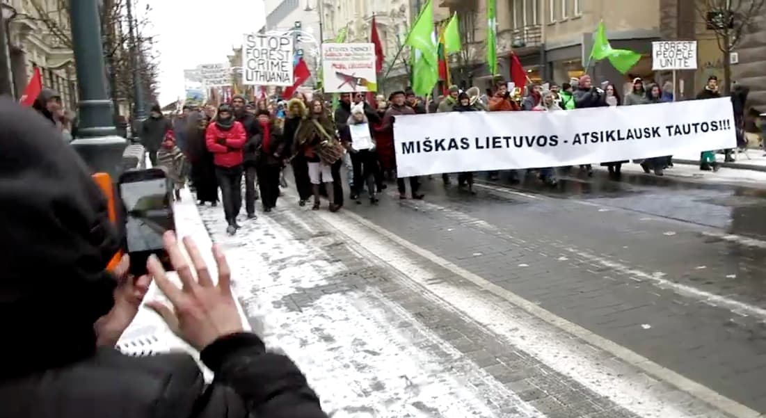 Vilniuje įvyko eitynės prieš žaliųjų valstiečių vykdomą beatodairišką miškų kirtimo politiką