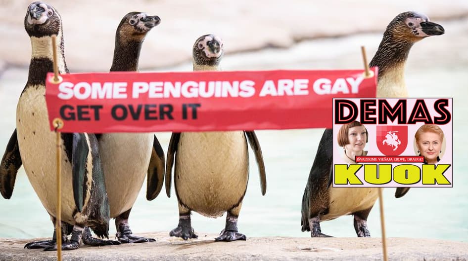 Apie pingvinus gėjus ir įžūlų mokinį Jungtinėje Karalystėje, kuris buvo nubaustas už skandalingą nuomonę apie lytis