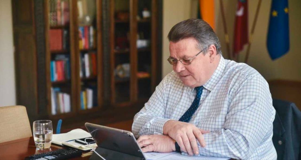 L. Linkevičiaus ir JAV ambasadoriaus Lietuvai mūšio su COVID-19 aptarimo akimirka. Nuotr. urm.lt