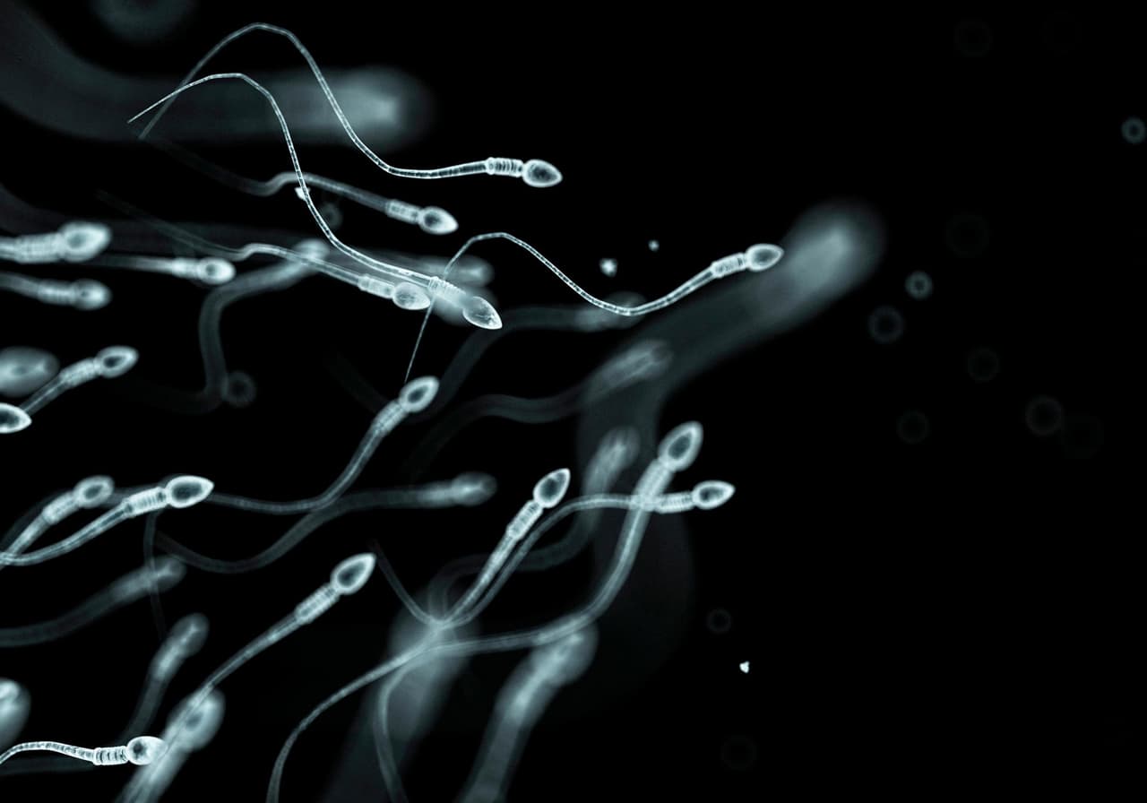 Gėjams tėčiams ateina geri laikai: sukurta dirbtinė sperma