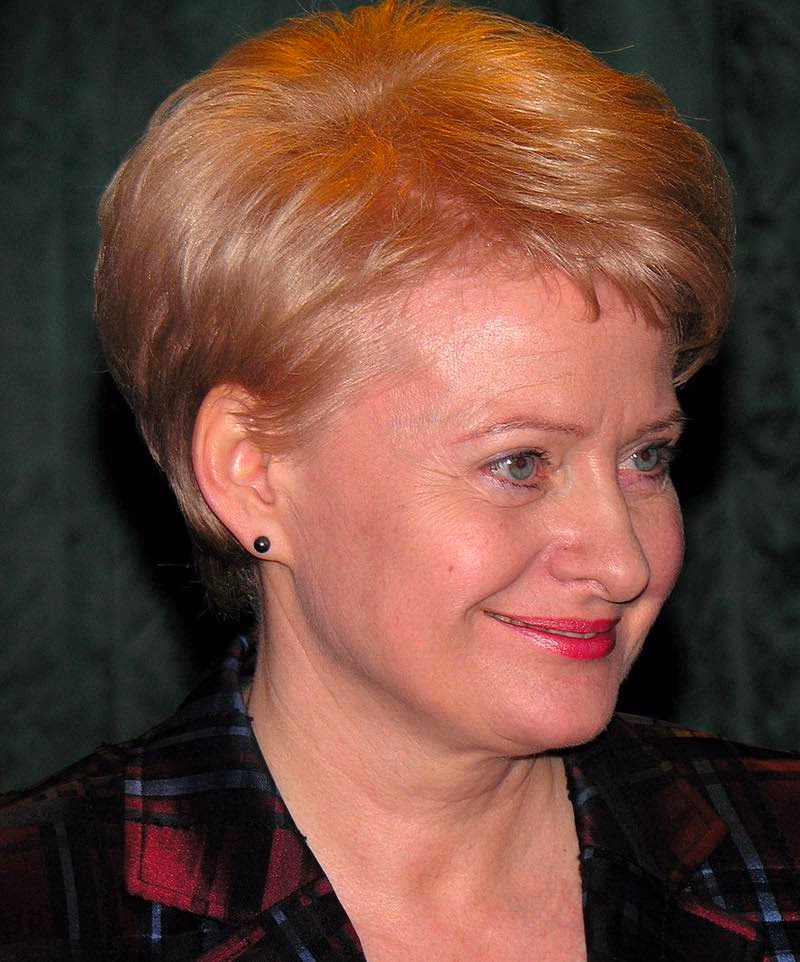 Kaip A. Kubilius žydų pedofilui dovanojo „Lietuvos kurą“, o D. Grybauskaitė dar 18 mln. litų iš biudžeto