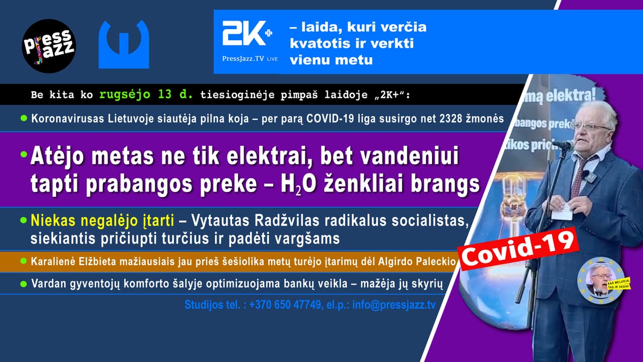 Radžvilas siūlo nacionalizuoti valstybės valdomą firmą „IGNITIS“