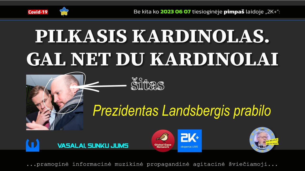 Prezidentas Landsbergis iki šiol negali atleisti Janutienei dėl jos prirašytų idiotiškų traktatų