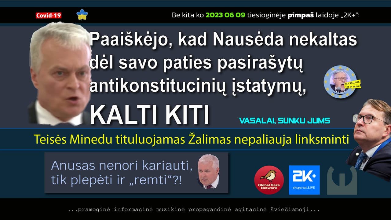 LR Konstitucija – savižudybės aktas