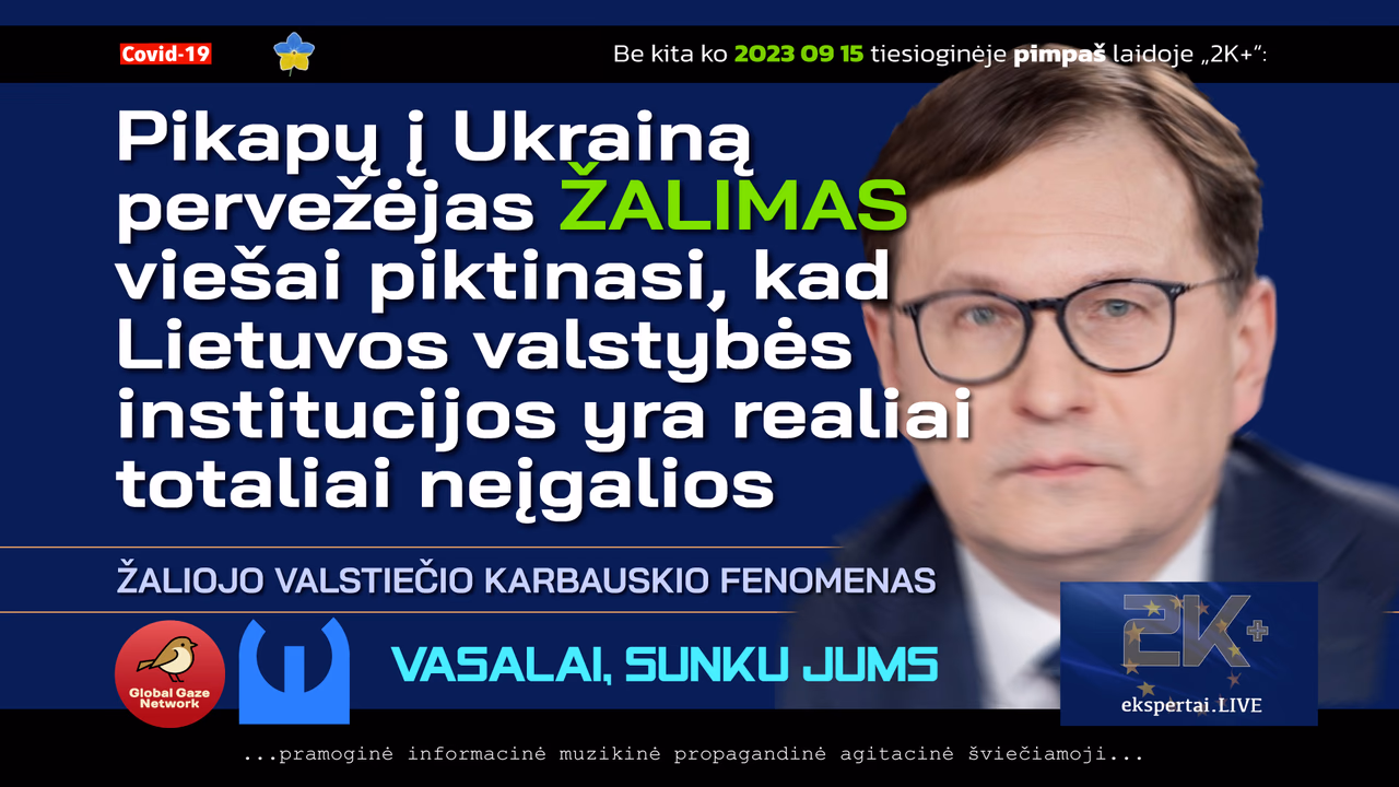 Žalimas nusivylęs, kad tiek žemai krito Konstitucinis teismas. Karbauskis neslepia nieko nesuvokiantis
