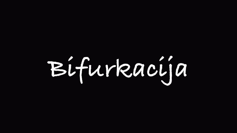 Bifurkacijos taškas