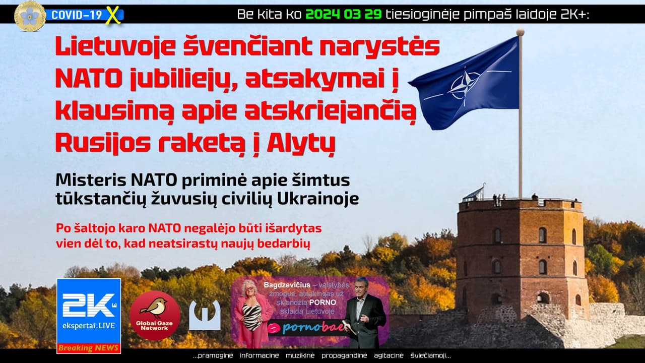 Š. Puidokas apie NATO šventėjus: visos tos jūsų šventės, tai tik kažkokių klounų paradai