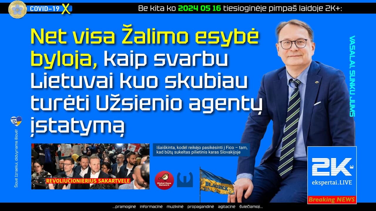 Teisininkas Žalimas klaidina visus iš eilės: Paleckį, Šimonytę bei kitus savus – tai nepateisinama