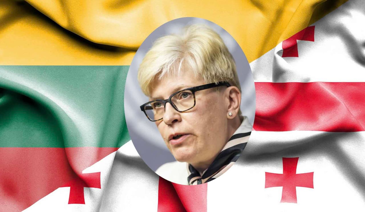 Šimonytė priminė kartveliečiams, ką jie pasirinko