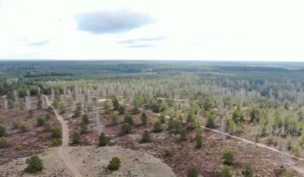 Pinigų skyrimas atgrasymo infrastruktūros plėtrai išaugo beveik 20 kartų