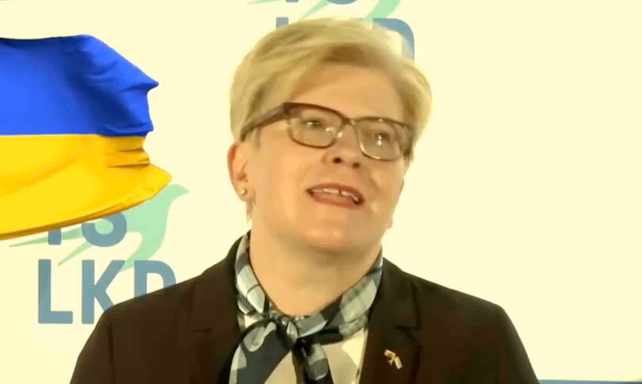 Šimonytė atskleidė, kodėl reikia balsuoti už Landsbergių partiją Seimo rinkimuose