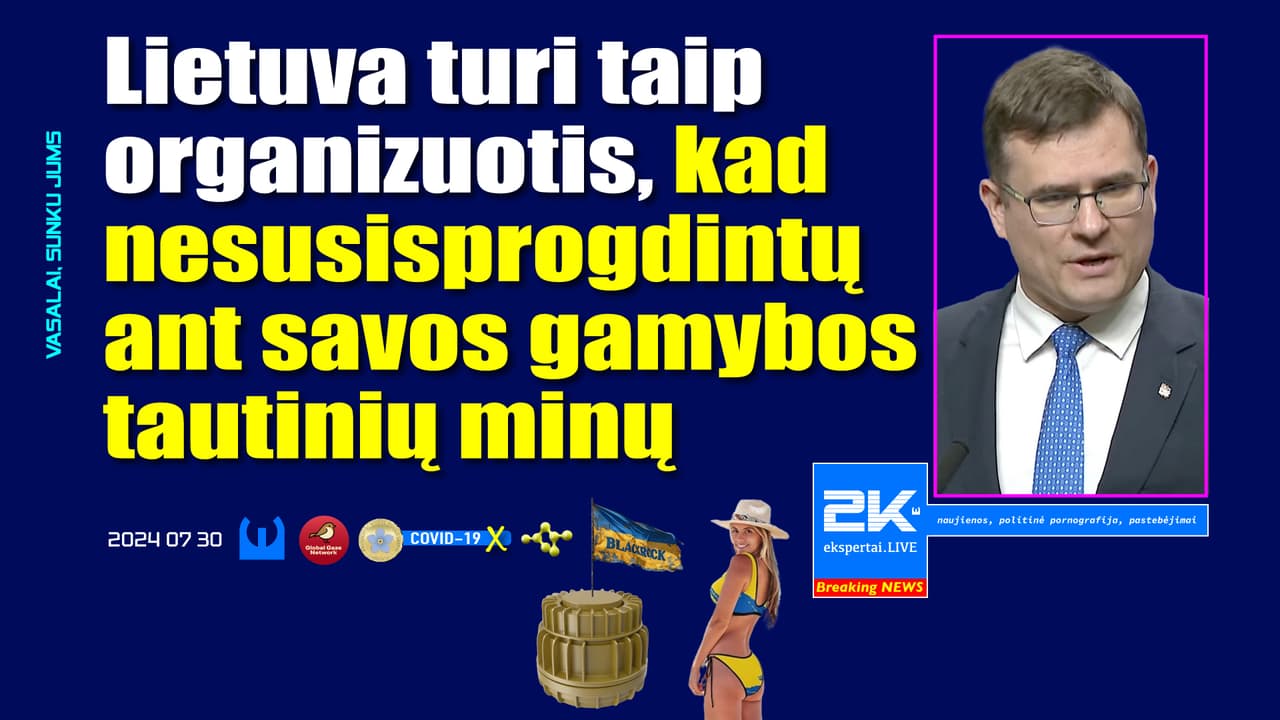 Lietuva turi taip organizuotis, kad nesusisprogdintų ant savos gamybos tautinių minų