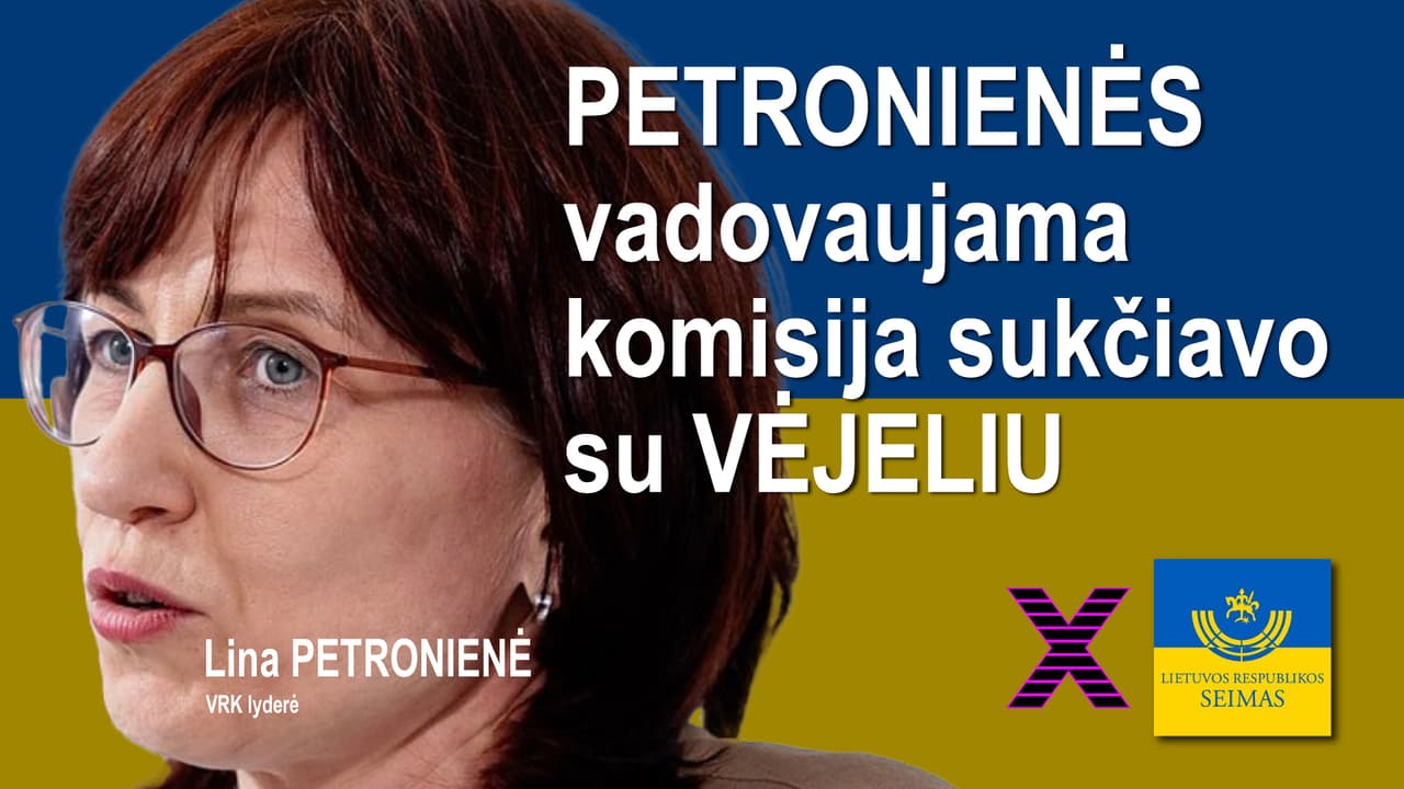 Seimo rinkimų pažeidimai – teismas pažeidimų netirs, o prokuratūra?